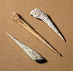 Förhistoria: benabborre från paleolitikum. Saint-Germain-en-Laye, museum för antikviteter