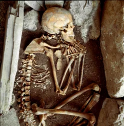 Förhistoria: kvinnliga skelett från grottan av Candide Arene (Finale Ligure). Stenåldern, neolitik. Genes, Museo di archeologia Ligure