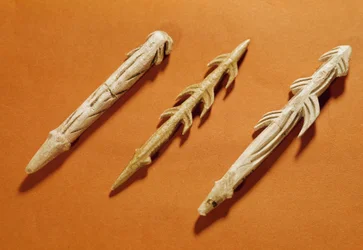Förhistoria: harpuner av renhorn använda för fiske. Tillverkade under Magdalénienperioden. 17000-11000 f.Kr. Saint-Germain-en-Laye, Museet för nationell arkeologi.