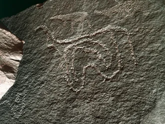 Förhistoria, klippkonst: en allvarlig klippa av representation av en boskap. Tazina stil. Stenåldern 5000-2000 f.Kr. Taghit, Haut plateau du Hoggar (Ahaggar), Algeriet