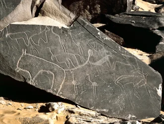 Förhistoria, hällkonst: gravsten som föreställer lejon, antiloper, struts och boskap. Stenåldern 5000-2000 f.Kr. Taghit, Haut plateau du Hoggar, Algeriet