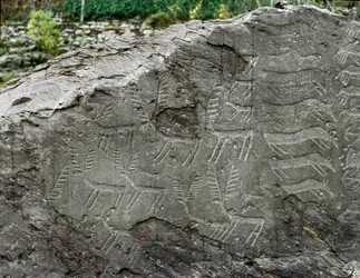 Förhistoria, hällkonst: gravhäll med avbildningar av hjortar och nötkreatur. Kopparålder. Eneolitisk period (kalkolitikum). Häll nr 1. Cemmo (Brescia), Parco Archeologico Nazionale dei Massi di Cemmo, Italien