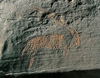 Förhistoria, hällkonst: gravsten av representationen av en antilop. Stenåldern 5000-2000 f.Kr. Taghit, Haut plateau du Hoggar (Ahaggar), Algeriet