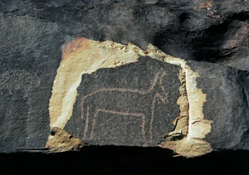 Förhistoria, hällkonst: gravsten av representationen av en antilop. Stenåldern 5000-2000 f.Kr. Taghit, Haut plateau du Hoggar (Ahaggar), Algeriet