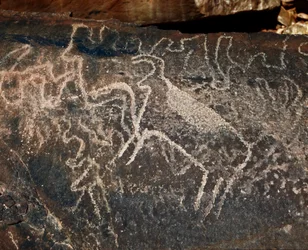 Förhistoria, hällkonst: gravsten av representationen av boskap. Tazina stil. Stenåldern 5000-2000 f.Kr. Taghit, Haut plateau du Hoggar (Ahaggar), Algeriet