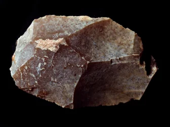 Förhistoria: huggen på stenskrapa. Övre paleolitikum, Magdalena. Verone, Civic Museum of Natural History, Italien