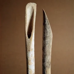 Förhistoria: verktyg för att ta bort bark från skenben från get och får från Necropole of Arene Candide (Finale Liguria), Liguria. Mellanneolitikum, stenålder. Gener, museo di archeologia ligure