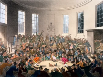 Den kungliga tuppfäktningsarenan, Birdcage Walk, St James, illustration ur "Ackermann