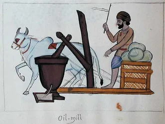 Oljekvarn, ca 1890 (akvarell på papper)