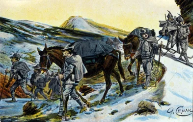Första världskriget: grupp italienska alpjägare i erkännande med sina mulor 1915. Illustration av Quinto Cenni (1845-1917)