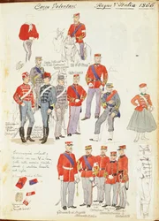 Uniforms of Army Volunteer Corp of Kingdom of Italy av Quinto Cenni, färgplatta
