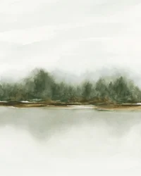 Spegelbild i den dimmiga skogen