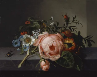 Stilleben med rosengren, skalbagge och bi, 1741