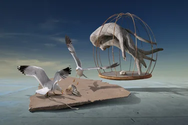 Måsar flyr från surrealistisk bur