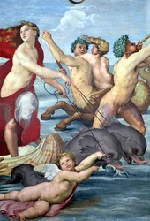 Galatea, detalj av sjömän och delfiner, 1506 freskdetalj av 56473