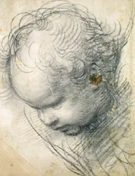 Cherubhuvud (svart krita och kol på papper)