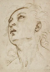 En ung mans huvud som tittar uppåt, ca 1497-1504 (penna och brunt bläck över metallspets på gräddpapper)