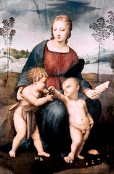 Madonna av guldfinken, 1507