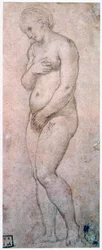 Studie av Venus, c1500-1520