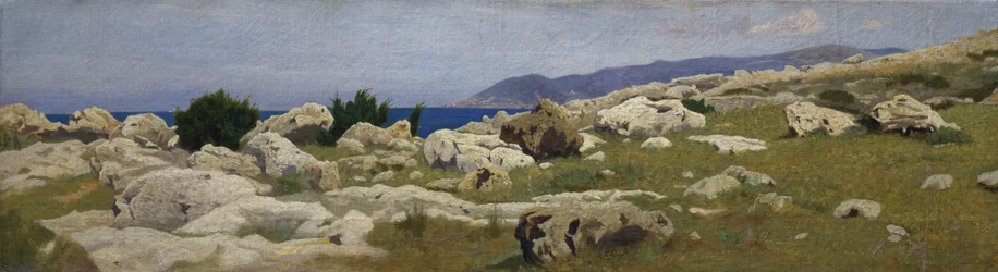 Utsikt över Punta del Romito från Castiglioncello