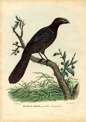 År, 1863-79