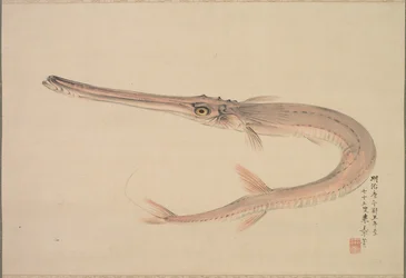Nålfisk levde, 1870.