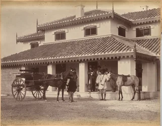Herr MacNull, Jhansi (verso)