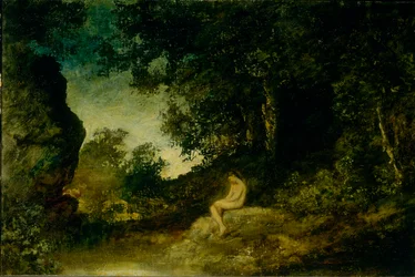 Vid naturens spegel