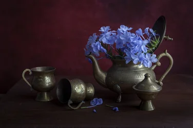 Antika mässingsblå blommor
