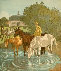 The Farmers Boy vattna hästar, c1881.