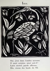 Ibis, illustration från "The Bestiary" eller "The Procession of Orpheus" av Guillaume Apollinaire (1880-1918) 1911 (träsnitt)