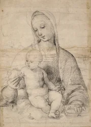 Madonna av granatäpplet, c.1504 (svartgrå krita)