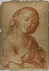 Musa