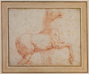 Studie av en av Quirinal Marble Horses, ca 1515-17