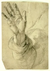 Upphöjd höger hand, med handflatan vänd utåt: Study for Saint Peter, 1518-20