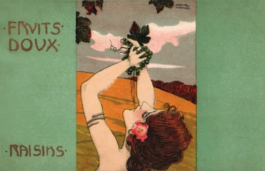 Vindruvor, ca 1900 (illustration)