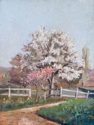 Körsbärsblommor, ca 1930-tal (olja på trä)