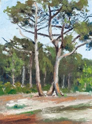 Tallar, Bassin d