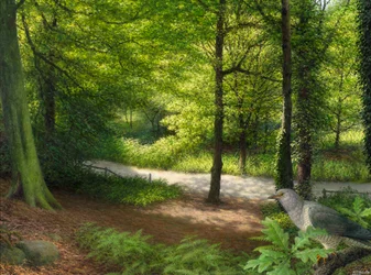 Skogsmark med skogsduva
