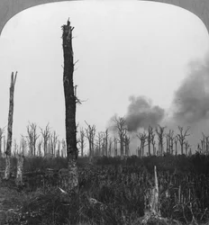 Högexplosiva granater sprängs i Mametz Wood, Frankrike, första världskriget, 1916