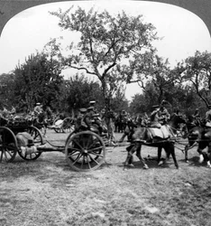Hästdraget artilleri, första världskriget, 1914-1918.