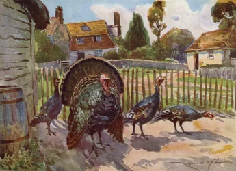 Illustration för My Farm (färg litho)