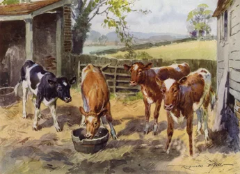 Illustration för My Farm (färg litho)