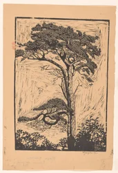 Tall Etude de pin (titel på objekt)