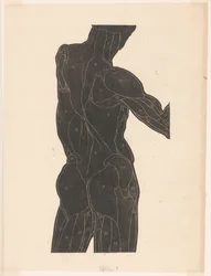 Anatomisk studie av en mans rygg och glutes i siluett