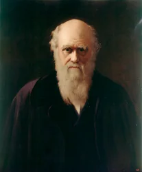 Charles Darwin (olja ombord)
