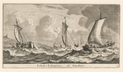 "Scholshuiten" eller "Pinken"
