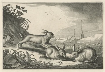 Dune landskap med kaniner Diversa Animalia Quadrupedia (serietitel)