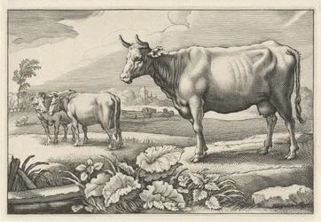 Betesmark med kor Diversa Animalia Quadrupedia (serietitel)