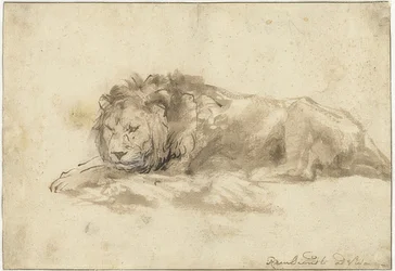 Liggande lejon (Liggende leeuw). 1650-59